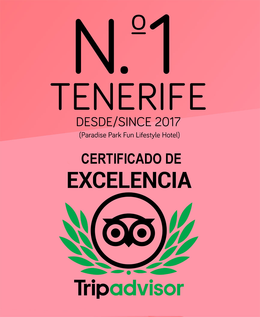 certificado de tripadvisor n1